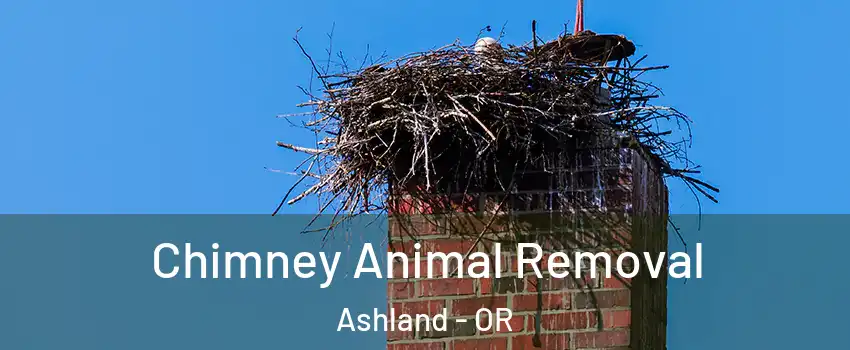  Chimney Animal Removal Ashland - OR