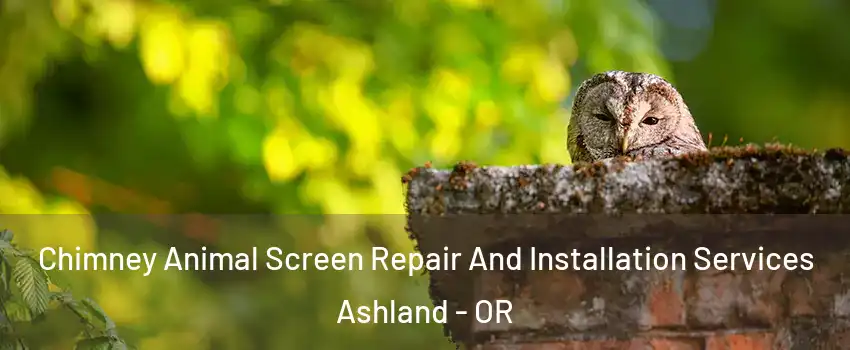  Chimney Animal Screen Repair And Installation Services Ashland - OR