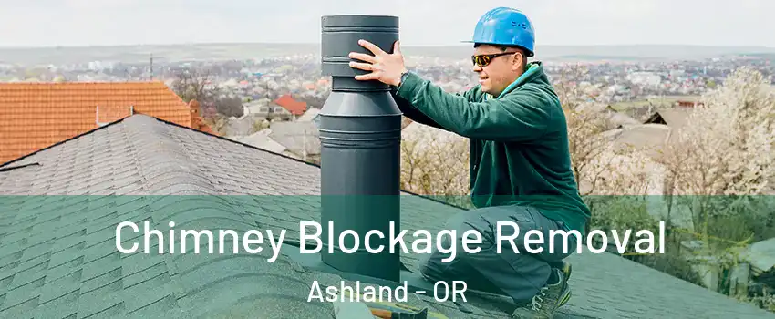  Chimney Blockage Removal Ashland - OR