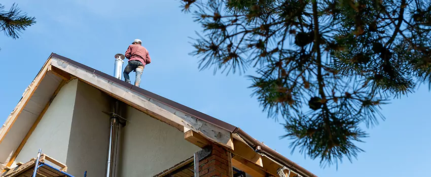 Birds Removal Contractors from Chimney in Ashland, OR