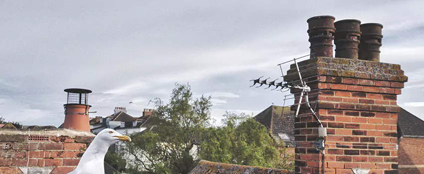 Chimney Cleaning And Restoration in Ashland, Oregon
