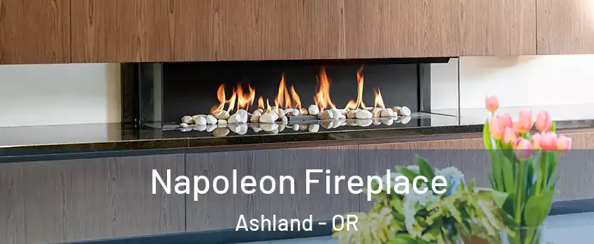  Napoleon Fireplace Ashland - OR